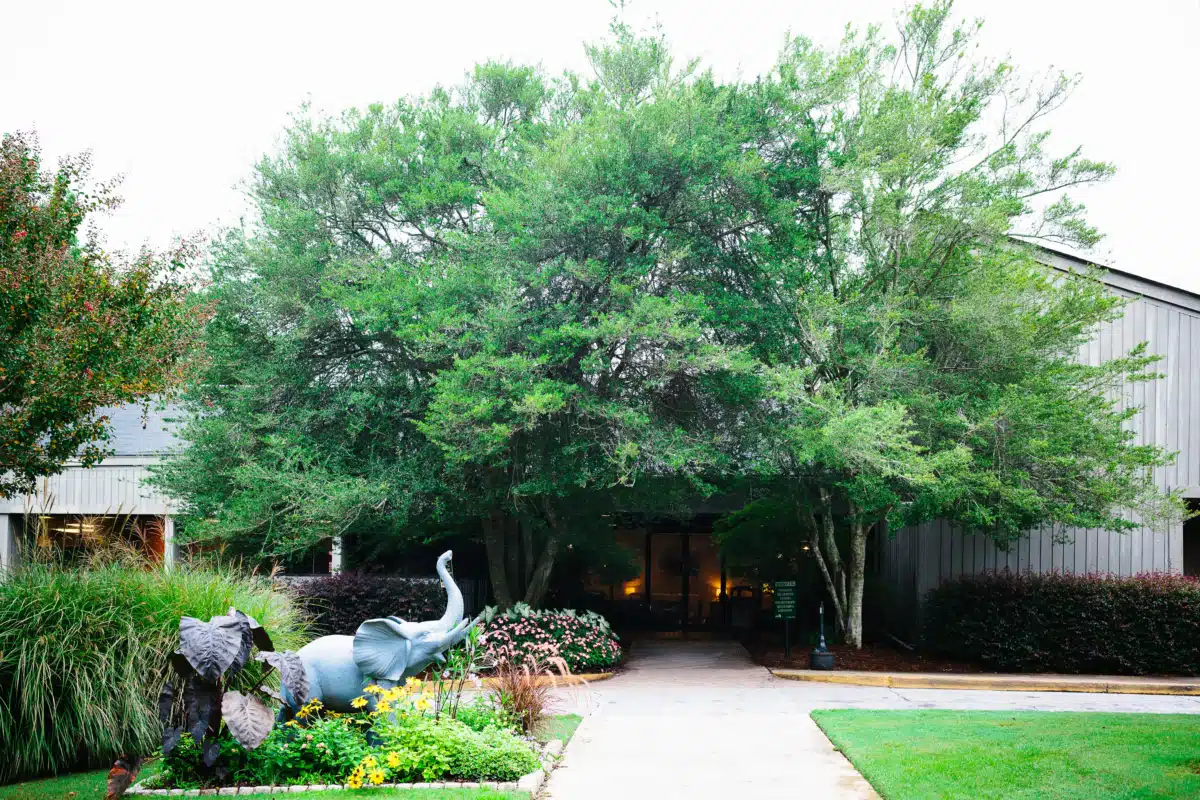 Ridgeview Institute Smyrna - Preview