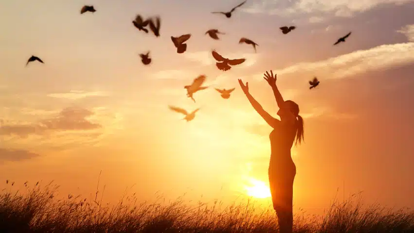 Somerset Treatment Services - Preview